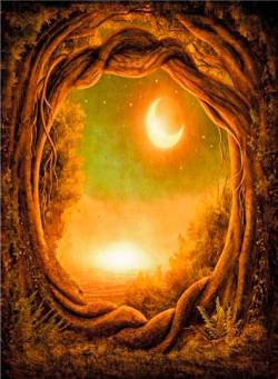 Druadan Forest : The End of an Era - a Journey to the Unknown